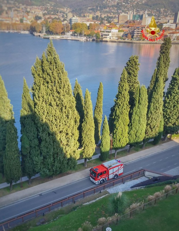 valmadrerapare__3_.jpeg (155 KB)