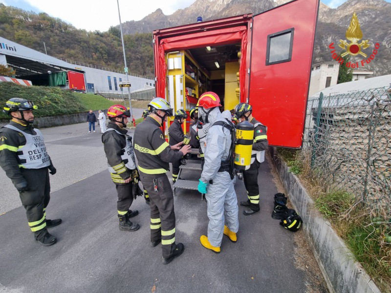 vvfcollini4.jpg (163 KB)