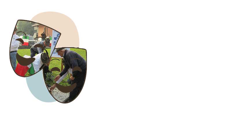 1_12.10.2025.jpg (16 KB)