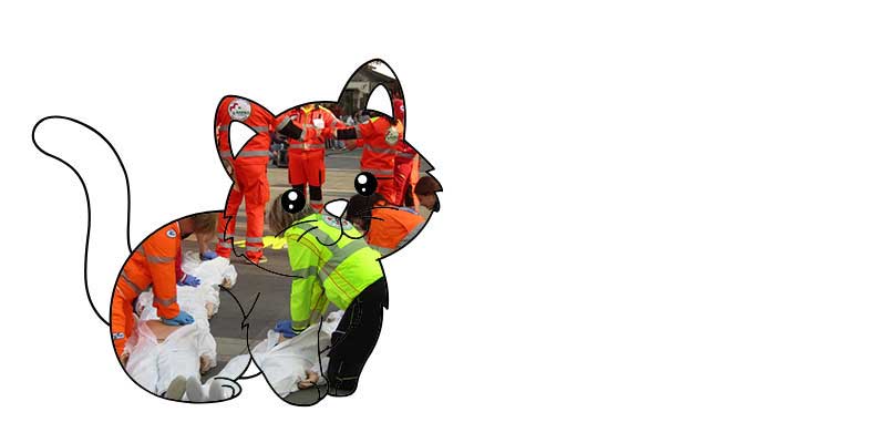 1_19.10.2025.jpg (22 KB)