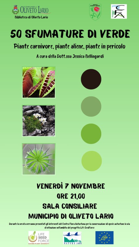 50_sfum_verde.jpg (62 KB)