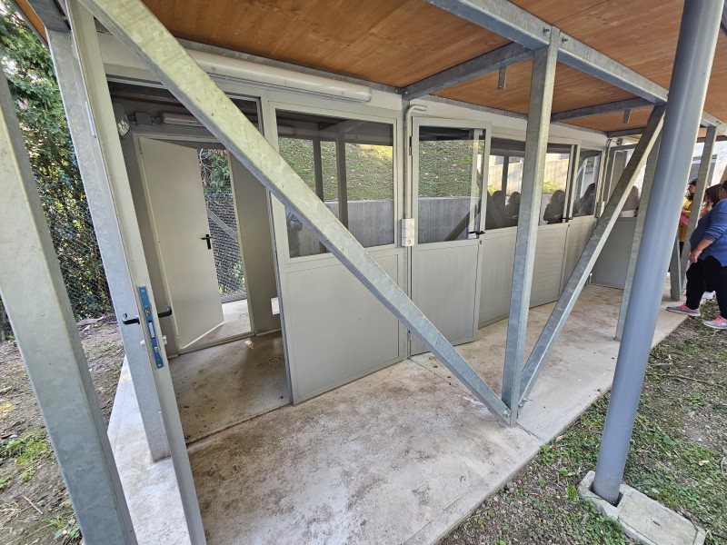 Lecco_Gattile7.jpg (153 KB)