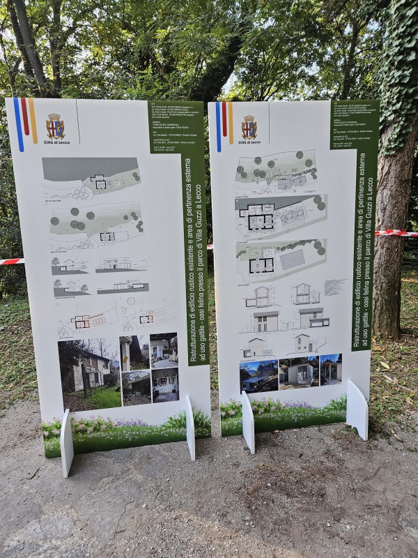 Lecco_gattile13.jpg (197 KB)