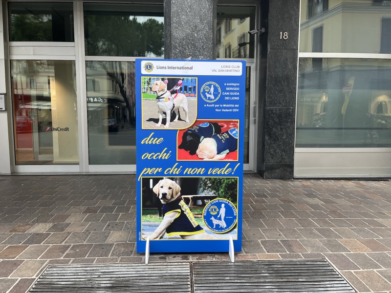 LionsLeccocastagne-1.jpg (154 KB)