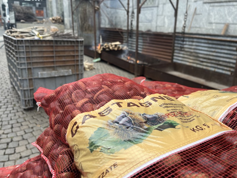 LionsLeccocastagne-4.jpg (139 KB)