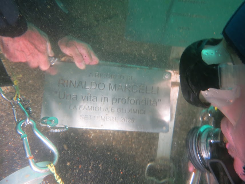 RinaldoMarcelli4.jpg (70 KB)