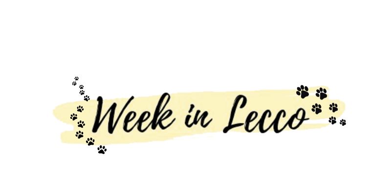 Week_19.10.2025.jpg (23 KB)