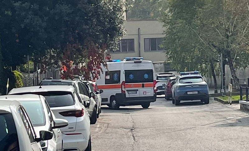 bertacchispay.jpg (142 KB)