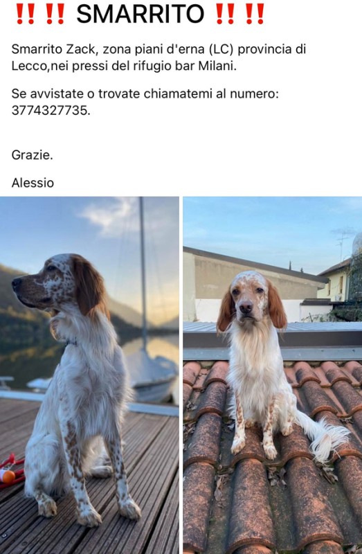 canescomparso.jpg (93 KB)