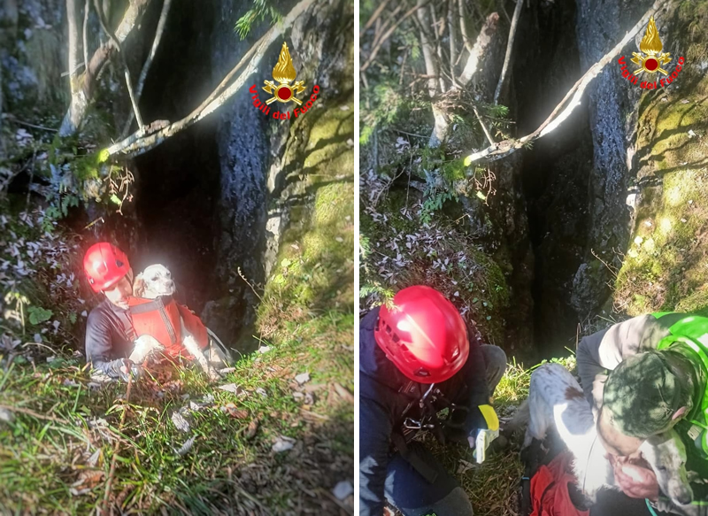 canisoccorsi__1_.jpg (371 KB)