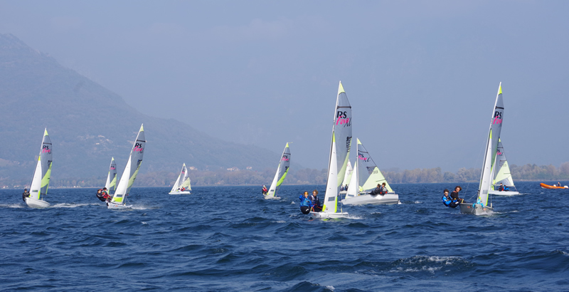 colicovela__3_.jpg (181 KB)