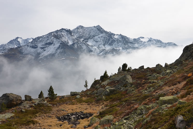 engadina__1_.jpg (81 KB)