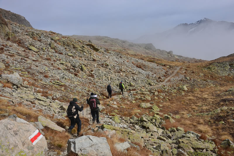 engadina__2_.jpg (119 KB)