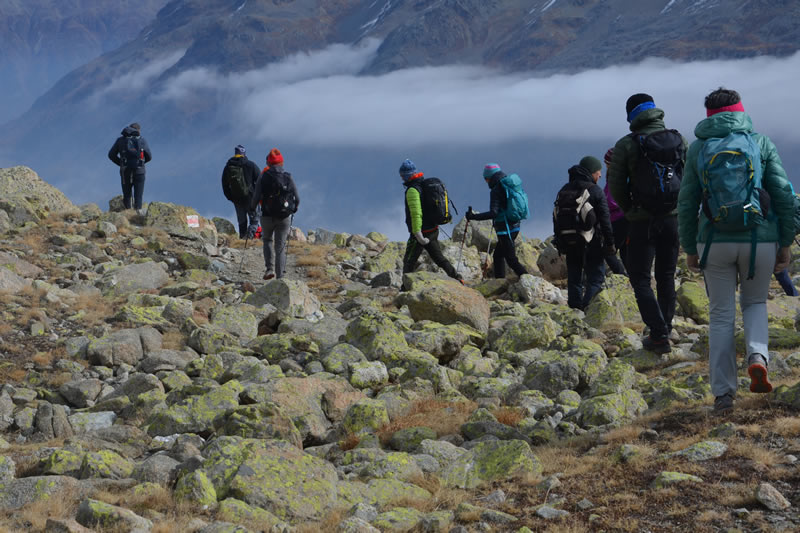 engadina__4_.jpg (107 KB)