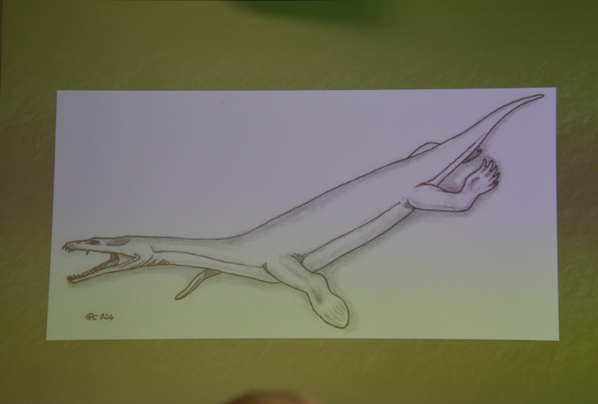 lariosauro__6_.JPG (230 KB)