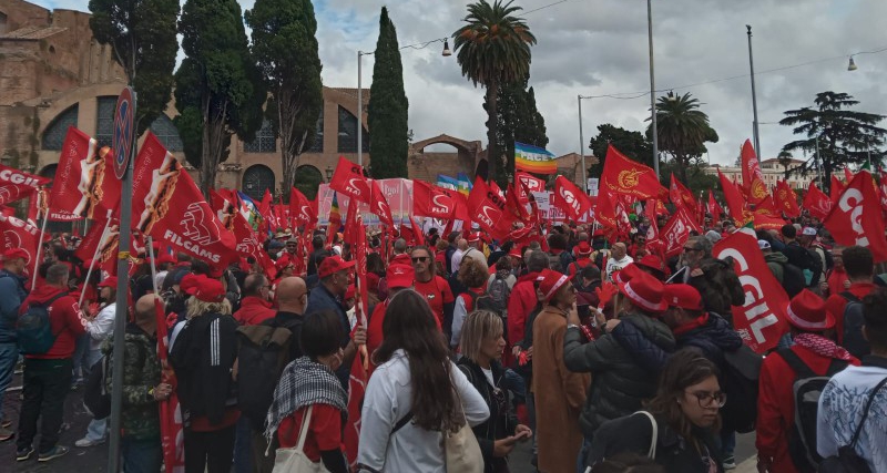 leccocgilroma2.jpg (247 KB)