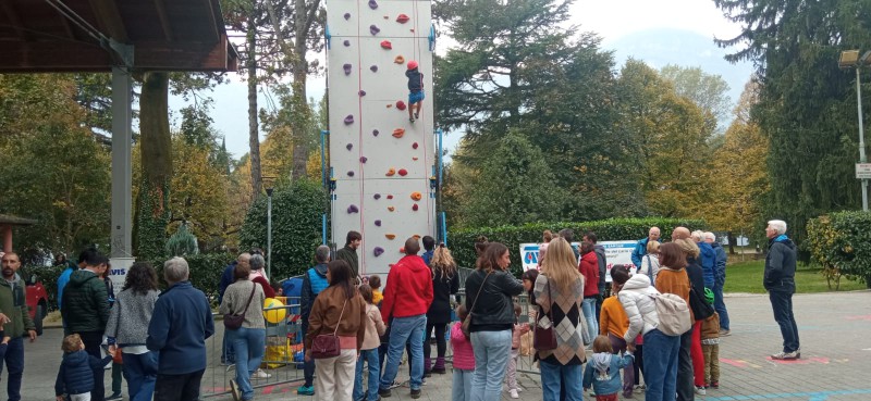 mandelloavis__1_.jpeg (109 KB)