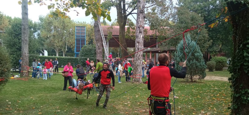 mandelloavis__2_.jpeg (119 KB)