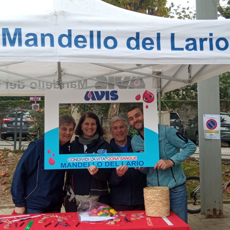 mandelloavis__4_.jpeg (156 KB)