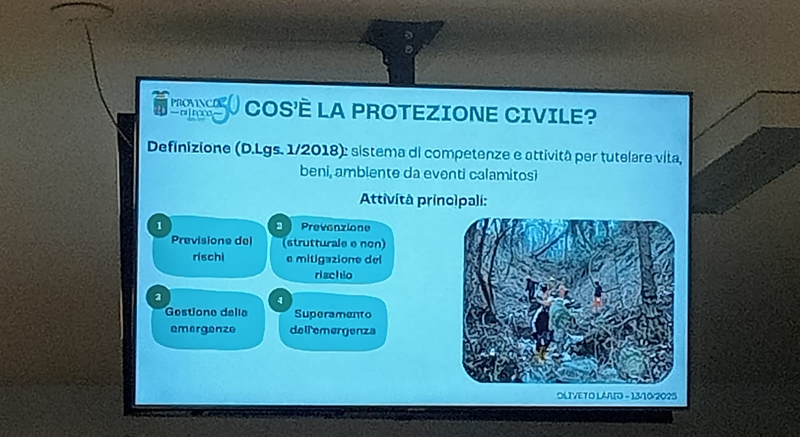 olivetopc__1_.jpg (214 KB)