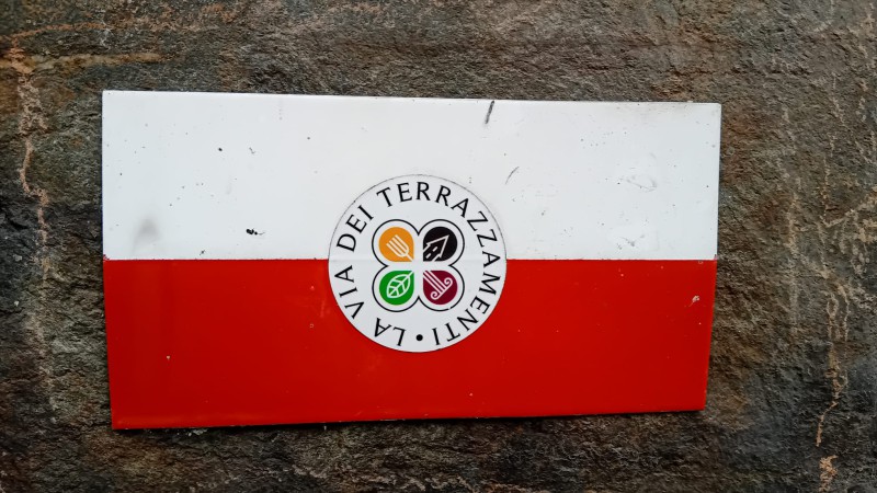 tiranoteglio1.jpeg (104 KB)