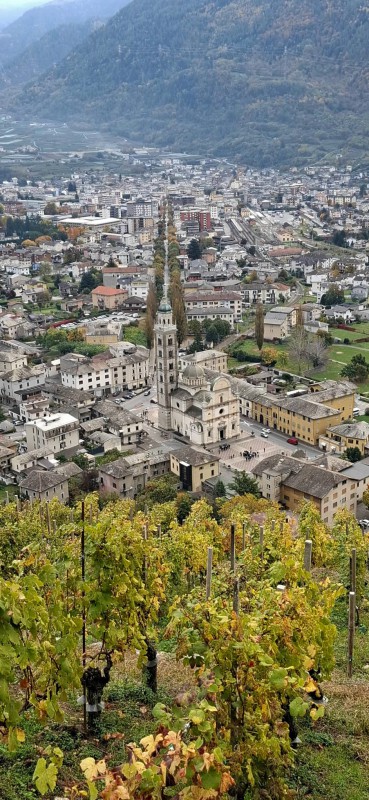 tiranoteglio12.jpeg (136 KB)