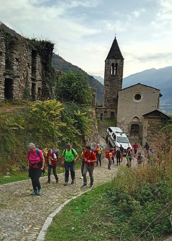 tiranoteglio2.jpeg (167 KB)