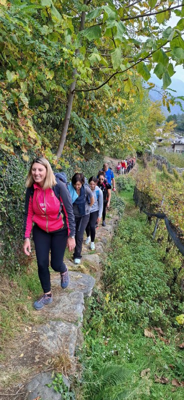 tiranoteglio4.jpeg (152 KB)