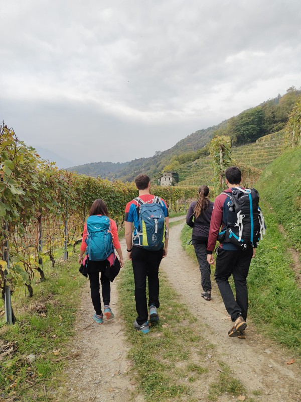 tiranoteglio6.jpeg (144 KB)