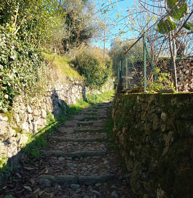 up_santamaria__2_.jpg (264 KB)