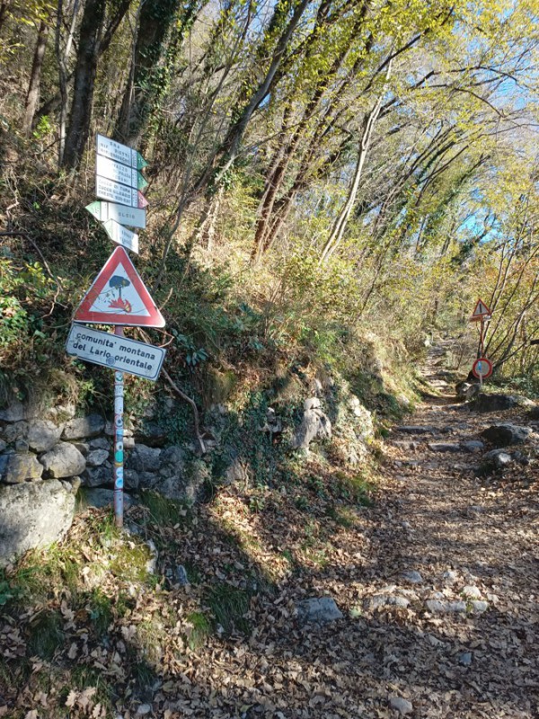 up_santamaria__3_.jpg (226 KB)