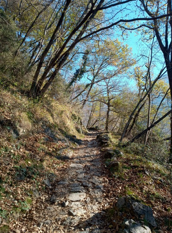 up_santamaria__4_.jpg (229 KB)