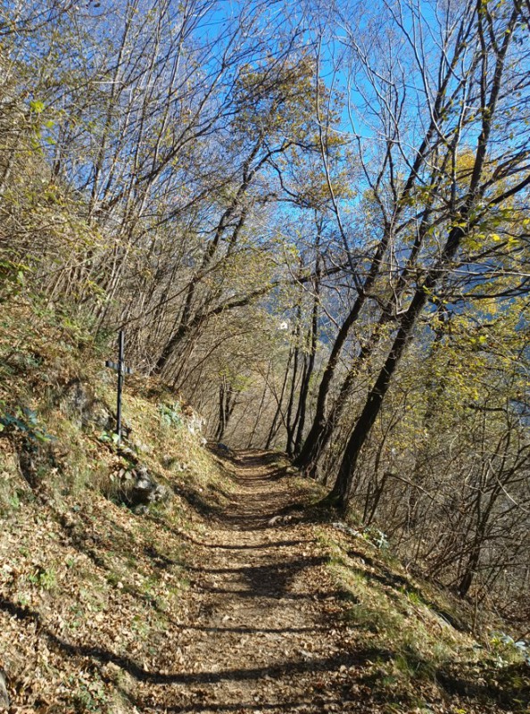 up_santamaria__5_.jpg (242 KB)