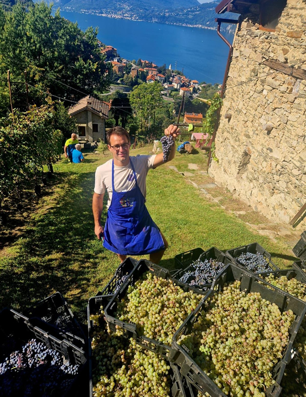 vendemmia__2_.jpg (385 KB)