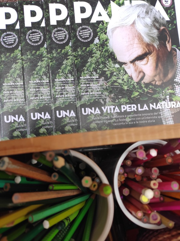 wwf_lecco3.jpg (138 KB)