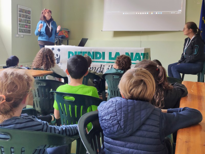 wwf_lecco5.jpg (104 KB)