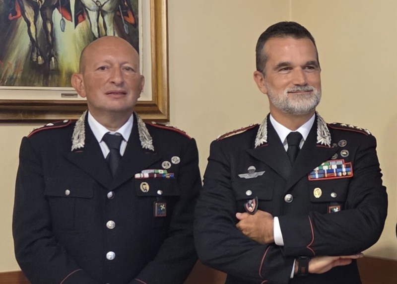 saggesemelidonis.jpg (73 KB)