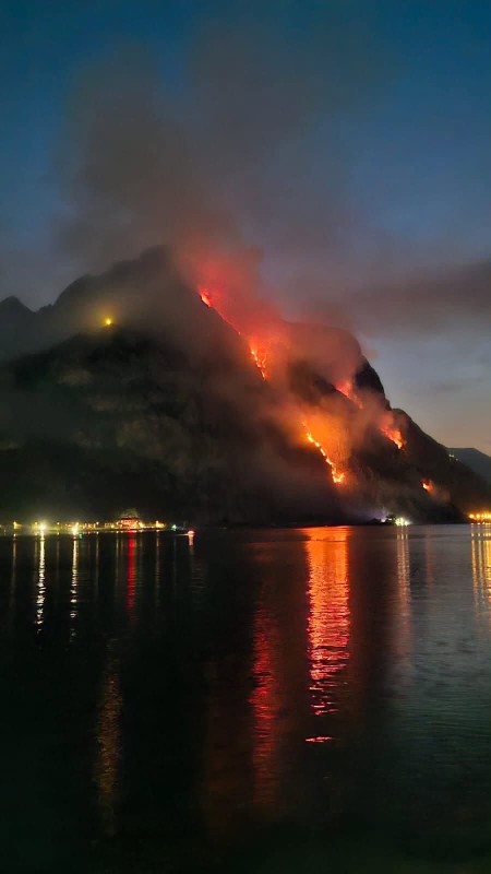 MOREGALLOINCENDIO.jpg (41 KB)