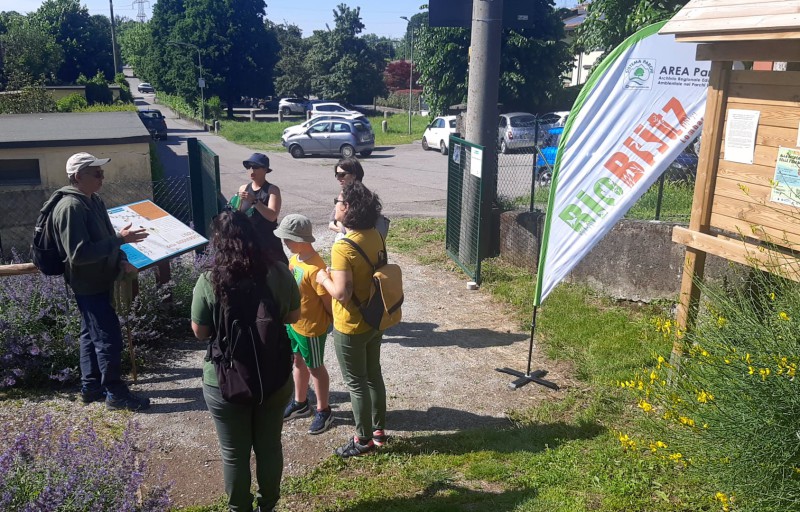 BioBlitz_Parco_Adda_Nord.jpeg (168 KB)