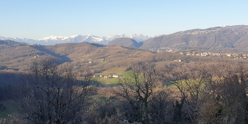 ParcoSettimaneVerdiPRIMA.jpg (137 KB)