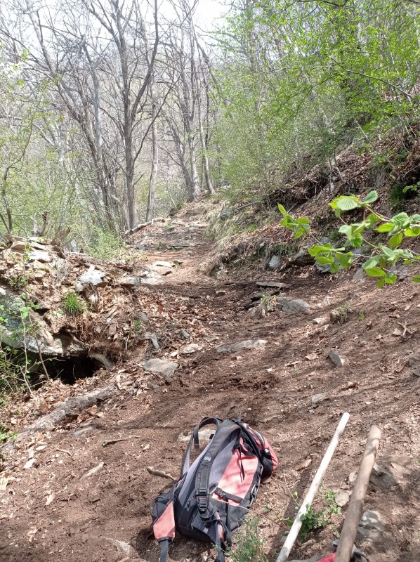 Ripristino_sentiero_2.jpg (242 KB)