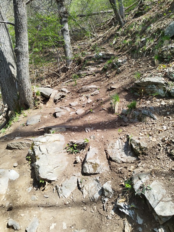 Ripristino_sentiero_5.jpg (242 KB)