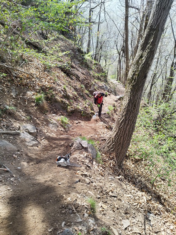 Ripristino_sentiero_6.jpg (260 KB)