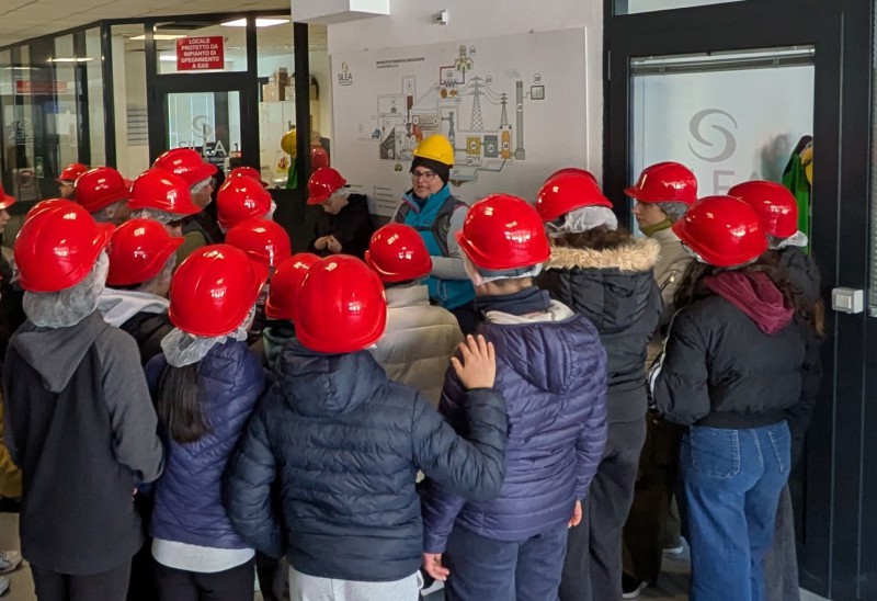 Silea_educatioanl_2026__3_.jpg (107 KB)