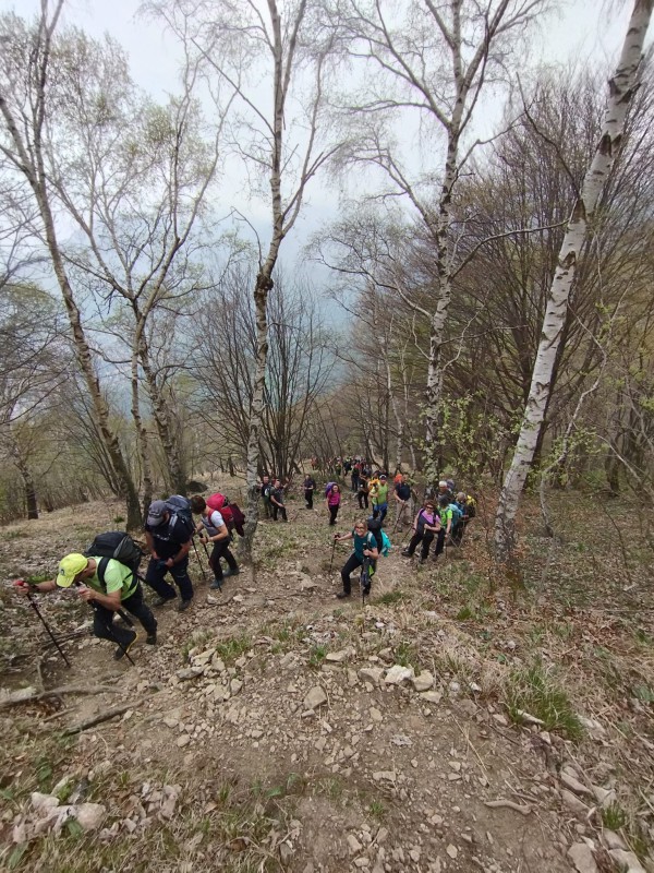 caibellano2.jpg (204 KB)