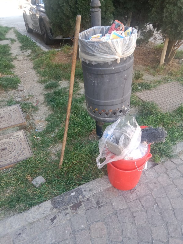 cestinogalbiate.jpg (149 KB)