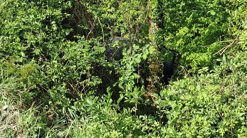 crandolaauto1.jpg (329 KB)