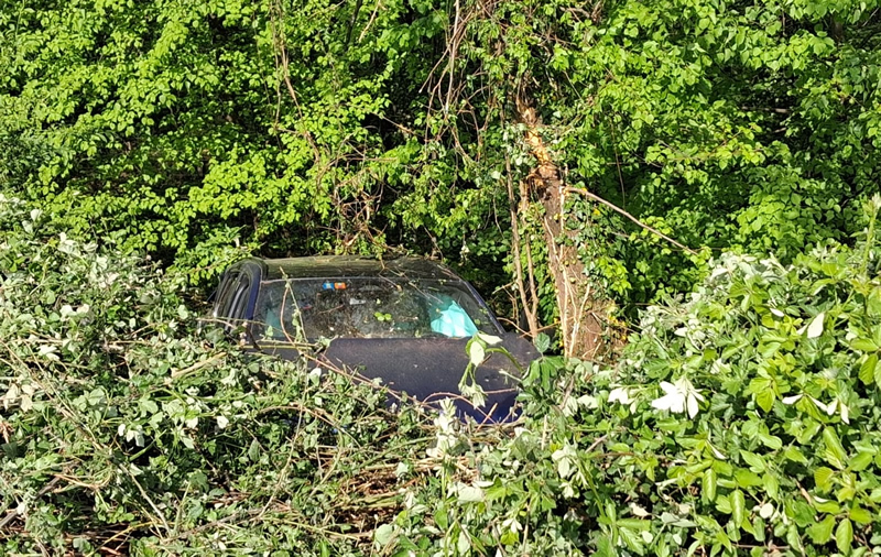 crandolaauto3.jpg (383 KB)