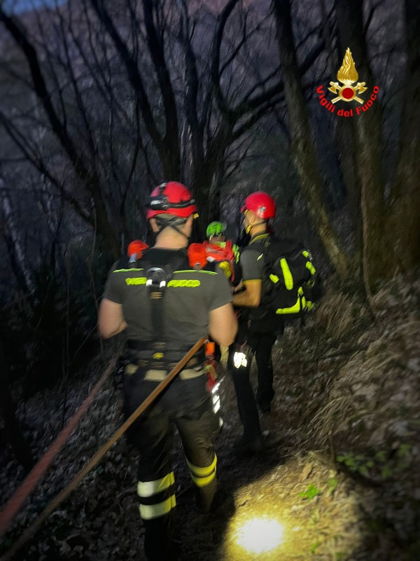 melmavf.jpg (106 KB)