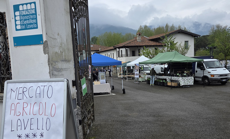 mercatoagricololavello.jpg (170 KB)